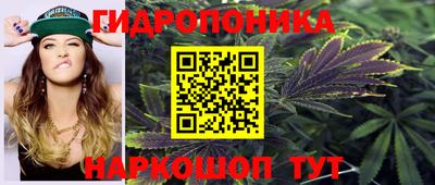 кокс Аргун