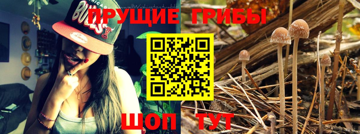 Псилоцибиновые грибы ЛСД Белогорск